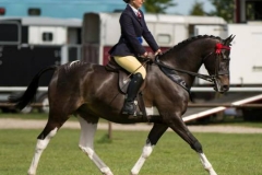 Danielle Hughes and Maraday celebration