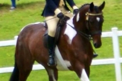 Meadmoor Cheeky Girl and Frankie Currel