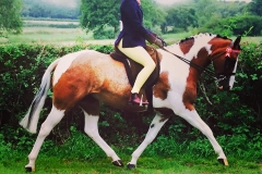 Willow Tarrant riding Classic Colours Secrets