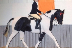 Flying Colours and Elizabeth Canton