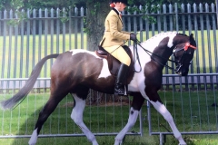 Kavanaghs Miss America and Lisa Godfrey