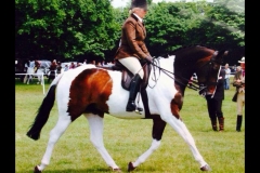 Made By Design and Claire Miller