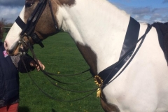 Polly Mallender and Skewpie Champagne Charlie