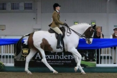 Tanya Joe Howard and Jar Jar Binx