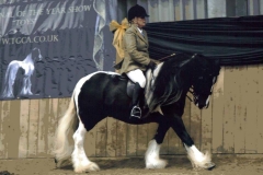 Beckham and Lynne Denholm