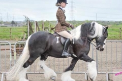 Trainriggs Danny Boy and Abby Johns