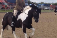 Victoria Walker and Oldforge The Mohican