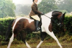 Lulu Farmbrough & Tambrook My Destiny