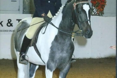 Shybont Design In Mind and Becky Walter