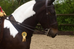 Amber Lilly Egan and Blaenmorlais the Princess