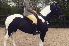 Blaenmorlais the Princess