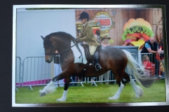 Kirstie Harris Caiste and Makers First Lady