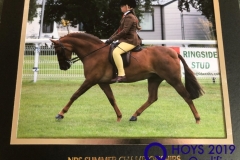 Harriet-Drewery-and-Hightopps-Jazz-copy