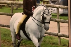 Imogen-Roberts-and-Grishall-signet