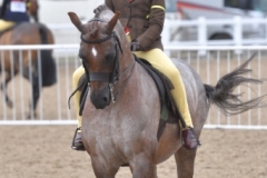 Maisie-peters-and-Annandale-Phoenix