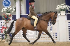 Nellie-ingham-and-Fable-Aurora-rose