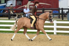 Pearl-Morris-and-Quinton-Golden-Crusader