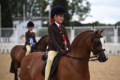 Charlotte-Drover-and-Redlays-Theseus