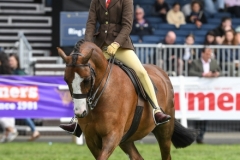 Harlow-Davis-and-Ruso-Something-Perfect