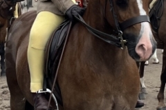 Scarlett-Ellwood-and-Menai-man-of-Troy