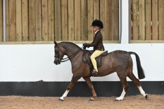 Lola-Carabine-and-Waxwing-Pringle