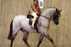 Maisie-peters-and-Annandale-Phoenix