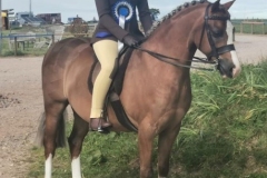 Madeline-Caunt-AND-Annandale-Rebel-Rebel