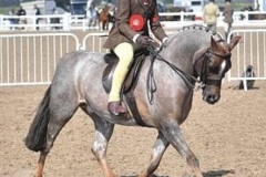 Maisie-peters-and-Annandale-Phoenix