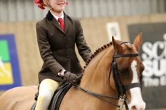 Rhiarna-Rodgers-and-Greendown-mandolin.