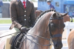 Amelia-Slater-and-Thistledown-Ginger-Nut