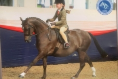 Betsy-may-Allen-and-Annandale-tweety