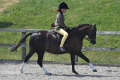 Bluebell-Beechey-and-Annandle-line-of-fire