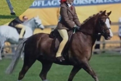 Coralie-Brolly-and-YrEnfys-Llwynog