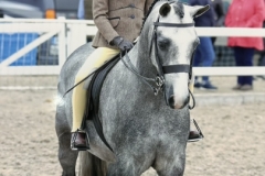 Darcie-Fielding-and-Rowfantina-My-Buddy