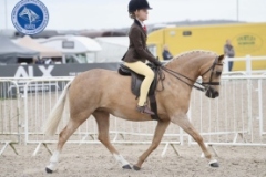 Emeila-OBrien-and-Mount-pleasant-Tegwen