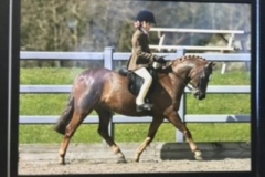 Evie-Rose-Walsh-and-Newoak-Pumpkin-Spice