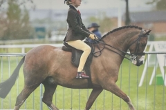 Harlow-Davis-and-Ruso-Something-Perfect