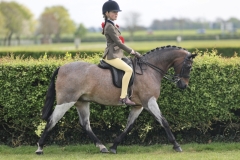 Esther-Tilbury-Horse_Pony-Thistledown-Ginger-Nut