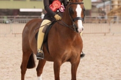 Izzy-Walker-Horse_Pony-Small-Land-Jackpot