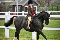 Mia-Bella-long-Horse_Pony-Rosedale-Pheedora