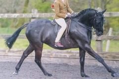 Eva Morgan and Newoaks Vale Vamos