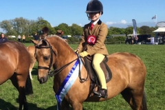 Georgie Osmond & Menai Naughty Girl Sally