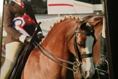 Talia Aristidou and Crystal Vision