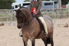 Esther Tilbury and Thistledown Ginger