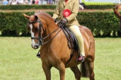 Gracie-Griffiths-and-Gryngallt-Page-too