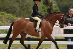 Lola-Carabine-and-Ardenhall-Blenheim