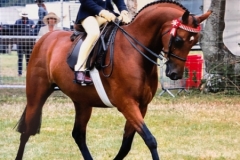 Claudia-Groves-and-Meadowmarsh-Cinderella-copy