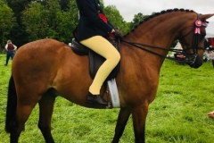 Emma Harker and Ardenhall Blenheim