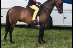 Imogen-roberts-and-Ramanno-placidity