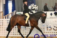 Madison-Crane-and-Mount-Pleasant-Autumn-Dawn